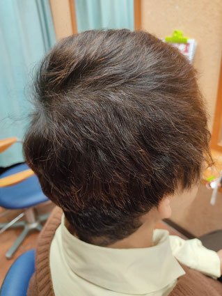HQヘナとシコン色で2度染め
