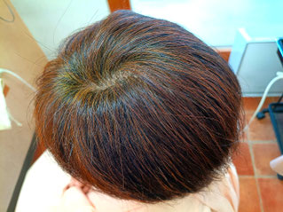 HQヘナとシコン色で2度染め