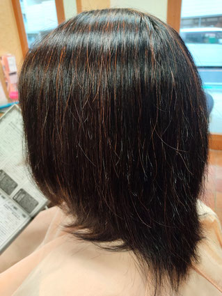 山梨からヘナ