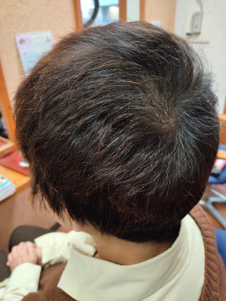 HQヘナとシコン色で2度染め