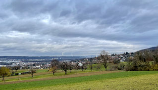 Blick über Dornach Richtung Basel