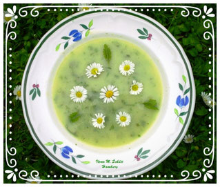 Wildkräuter-Suppe, Basenfasten, Ilona Schütt, Hamburg