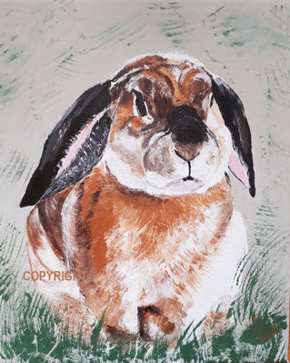Kleintierportraits Pinselnase Gemalte Tierportraits Nach Fotovorlage
