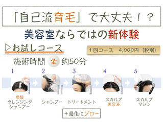 薄毛育毛 お試しコース
