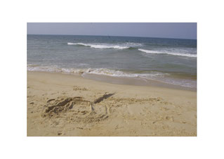 Château de sable au bord de la mer de Chine