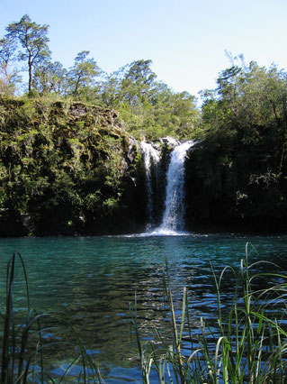 Ein Wasserfall ergießt sich zwischen üppigen Pflanzen in einen See. Das Bild symbolisiert das Element Wasser in der taloha Lomi.