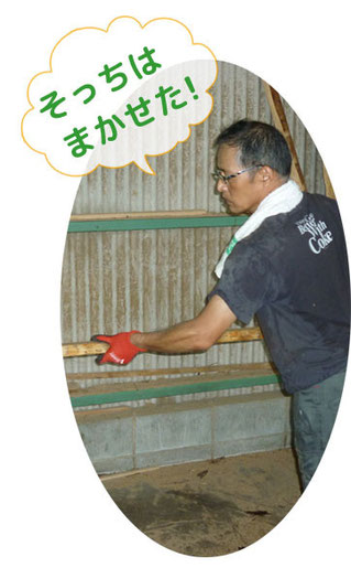 帯のこの製材