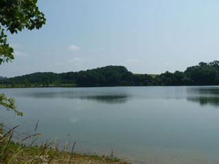 Fishing lake of Corbère-Abères Lembeye (Vic-Bilh / Madiran)