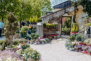 Gartensaal Schloss Altenhof