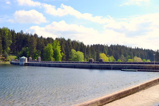 Bild: Wünschendorf Erzgebirge Talsperre Neunzehnhain 1