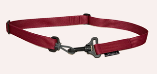 Stallhalsband