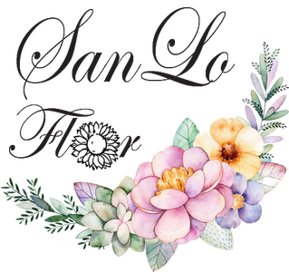 Página web de sanloflor