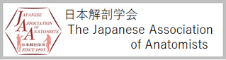 東北大学器官解剖学