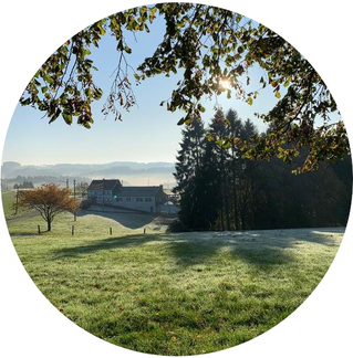 Yoga Workshop in Leverkusen