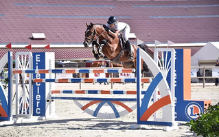 Son père, Ugo des Clas Dorcamp