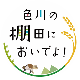 和歌山 那智勝浦町 色川の棚田においでよ！