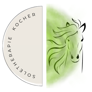 Soletherapie Kocher, Inhalation Pferd, Pony, Esel, Tier, Solekammer mobil, Solemobil, Mobile Soletherapie, Asthma, Husten, Sommerekzem