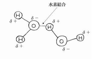 図6.水素結合