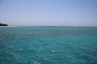 Lady Musgrave Island