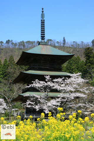 高畠町