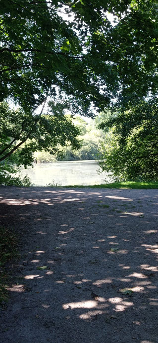 Grootmoorweiher Bramfeld; Foto Detlef Rätz