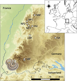 Location of the sampling sites