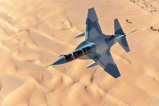 M-346/ T-100 © Alenia Aermacchi