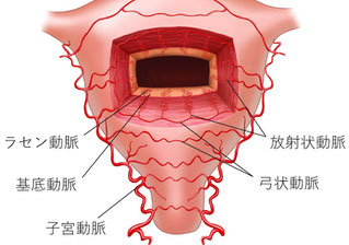 子宮内膜の血液
