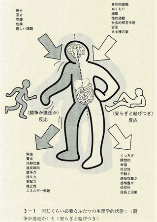 〈闘争か逃走か〉と〈安らぎと結びつき〉