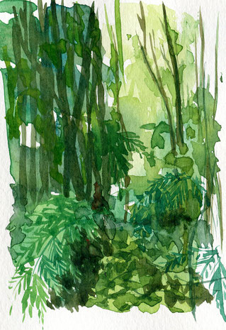 Leyre, carnet de voyyage, aquarelle, végétation, couleur, sophie bataille