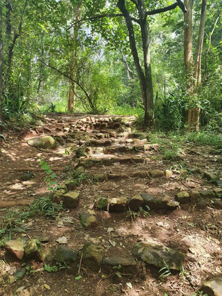 Treppe im Nairobi Arboretum