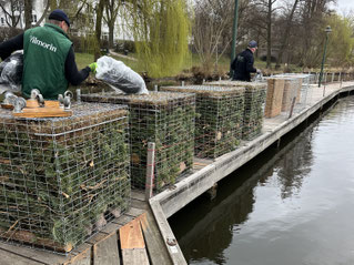 Gabionenkörbe (links) und Fischrefugien (rechts) werden unter Stegen der Außenalster befestigt.