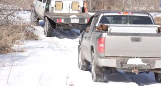 March 6, 2015 Coyote hound hunters Polk/Burnett county