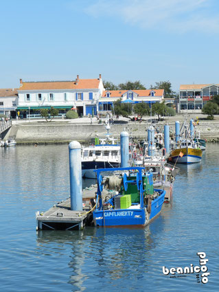Port de la Cotinière - Ile d'Oléron - Béanico-Photo