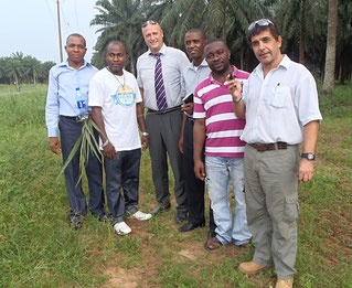 SET with UK Project Partner - Biogas and Palm Oil Production NIGERIA 