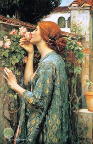 WATERHOUSE - My sweet rose