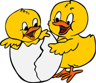 Hier die ersten zwei Osterküken!