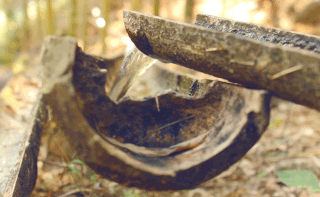 Water bamboo - DIY