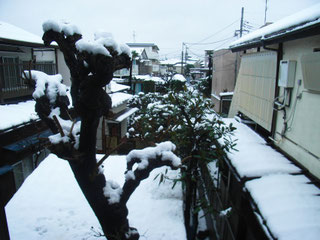 窓からの雪景色です~。