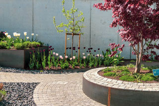 Bepflanzungen Dürig Gärten