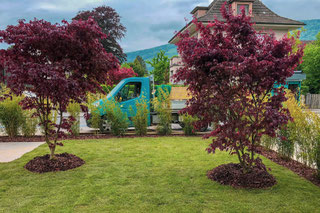 Gartenunterhalt Dürig Gärten