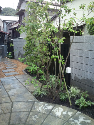 庭　小田原市　H様邸　施工後２