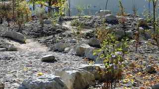 Steingarten anlegen. Kies, Schotter und Felsen im Garten - Naturgarten