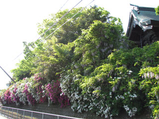 米子八幡神社本殿