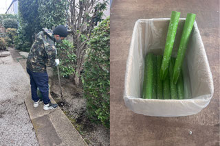 国分寺市で剪定する植木屋「纏造園」