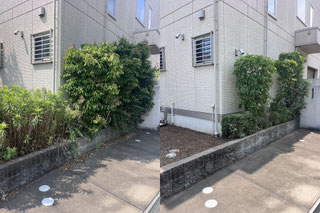 横浜市青葉区で剪定する植木屋「纏造園」