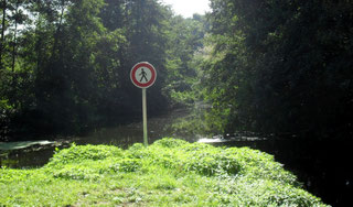 Ne pas marcher sur l'eau !