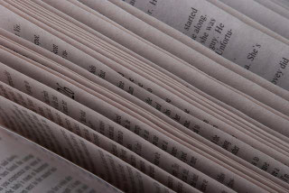 Literatur zu Chan, Zen, Buddhismus, Religionswissenschaft