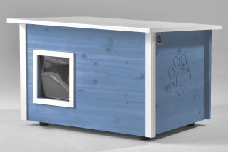 running rabbit Katzenhäuser - running rabbit Katzenhäuser- katzenhaus