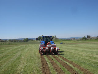 Traktor mit GPS-Lenksystem